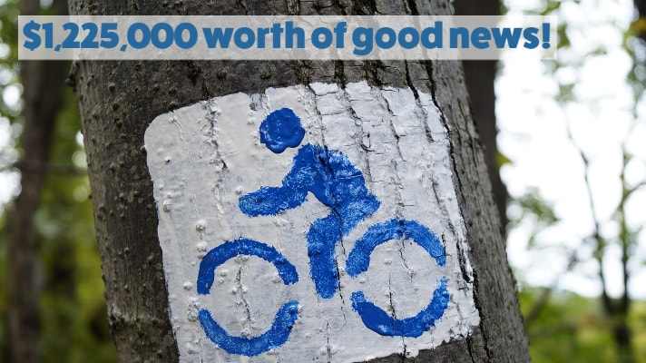 cycling icon on tree bark