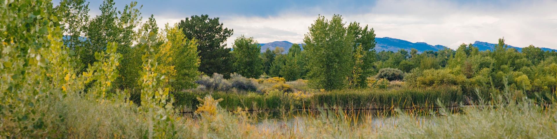 A peaceful natural area with lush greenery, a pond, and distant mountains under a partly cloudy sky.