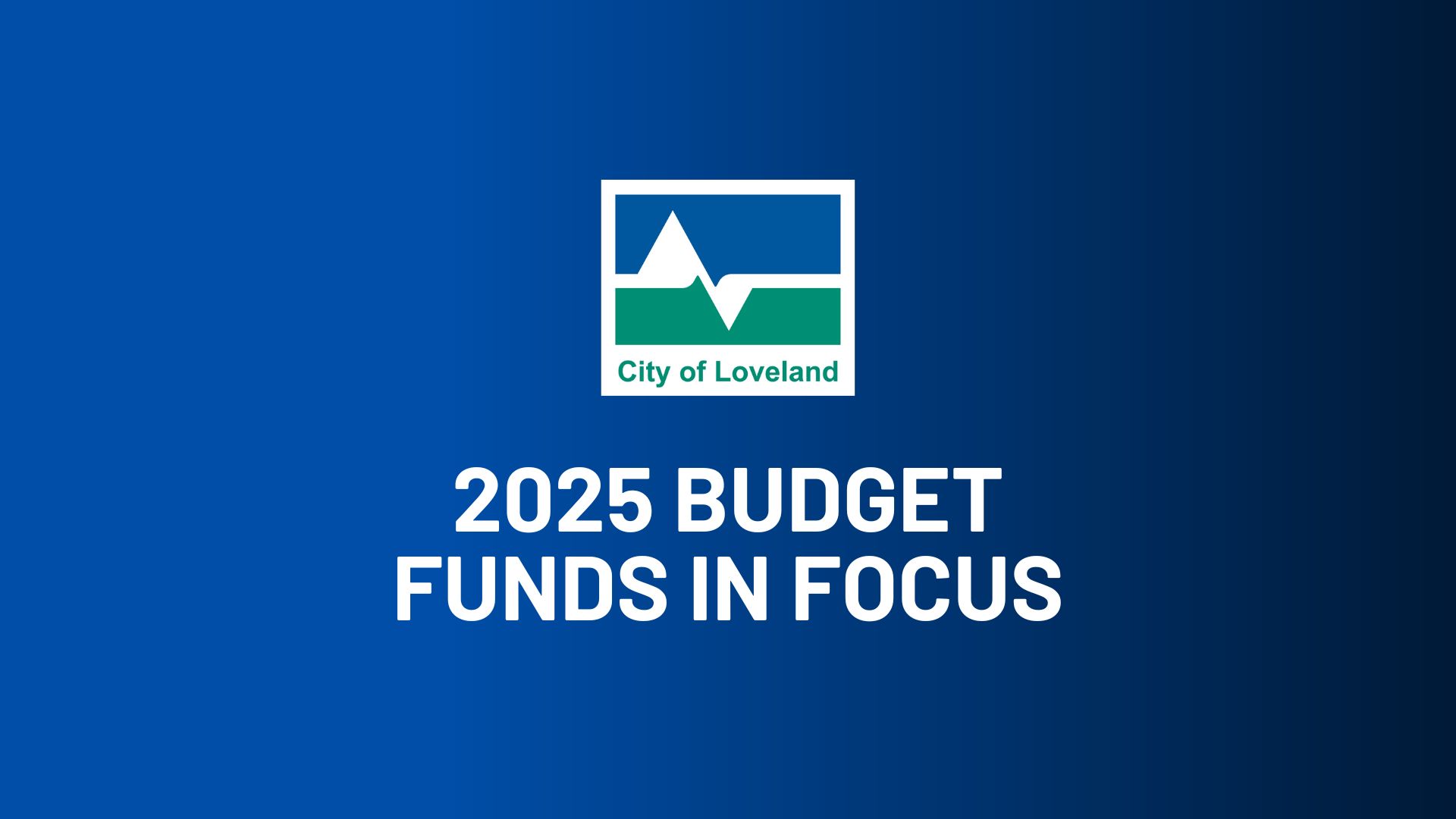 2025 Budget Funds in Focus
